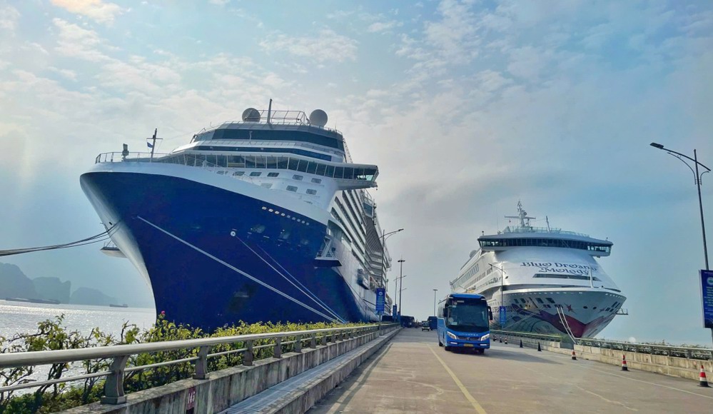 Cruise ships from Bac Hai continue to Halong