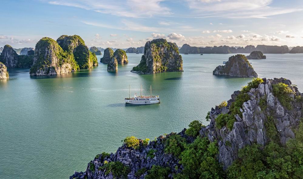 Unlocking Bai Tu Long Bay special use forests potential